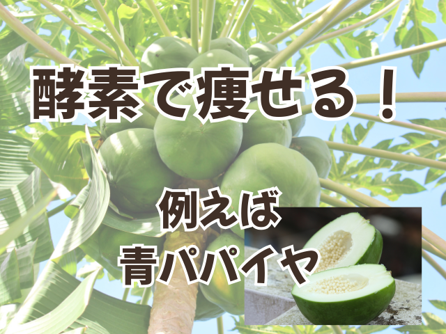 酵素ダイエットで使う、青パパイヤ