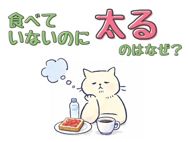 食べていないのに太るのはなぜ？くすりのホーライ　漢方ダイエット